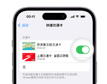 泰州apple维修点分享iPhone上更换Apple Pay快捷交通卡手绘卡面 