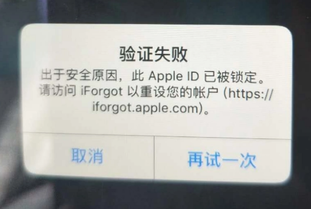 泰州iPhone维修分享iPhone上正常登录或使用AppleID怎么办 