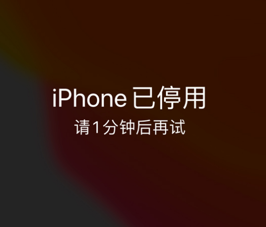 泰州苹果手机维修分享:iPhone 显示“不可用”或“已停用”怎么办？还能保留数据吗？ 