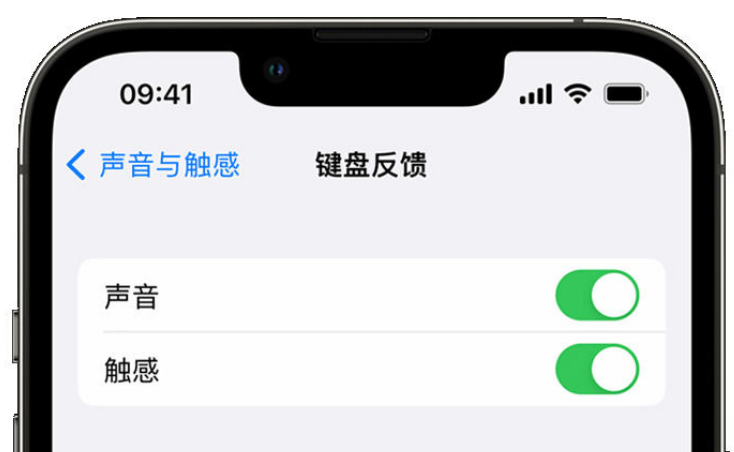 泰州苹果手机维修分享iPhone 14触感键盘使用方法 