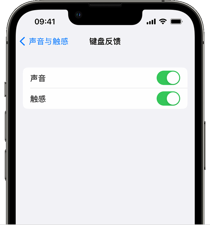 泰州苹果14维修店分享如何在 iPhone 14 机型中使用触感键盘 