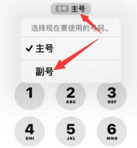 泰州苹果14维修店分享iPhone 14 Pro Max使用副卡打电话的方法 