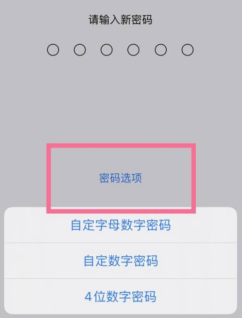 泰州苹果14维修分享iPhone 14plus设置密码的方法 