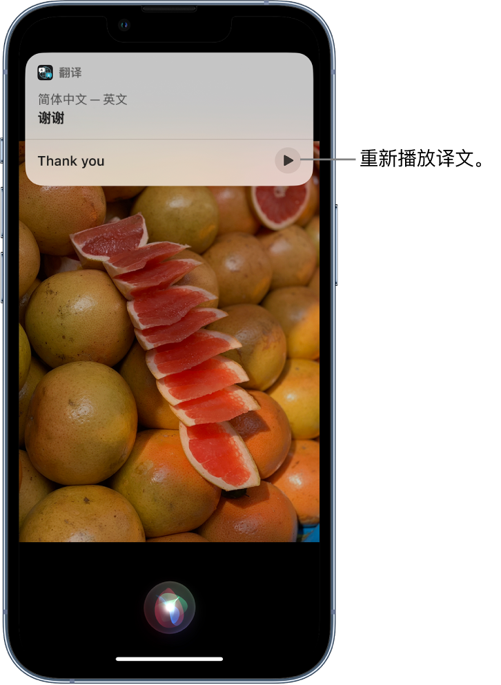 泰州苹果14维修分享 iPhone 14 机型中使用 Siri：了解 Siri 能帮你做什么 