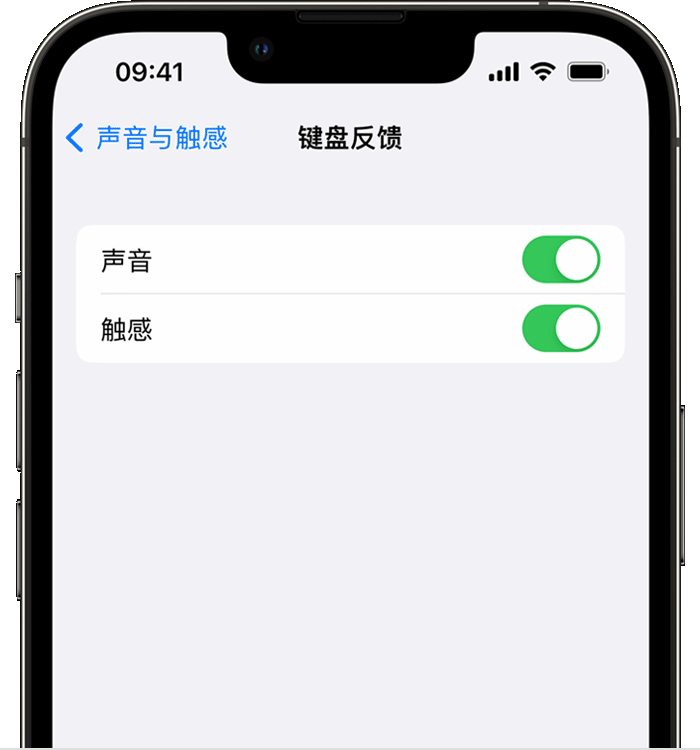 泰州苹果14维修分享iPhone 14 系列机型如何开启键盘声音或触感反馈 
