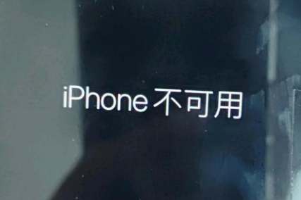 泰州苹果服务网点分享锁屏界面显示“iPhone 不可用”如何解决 