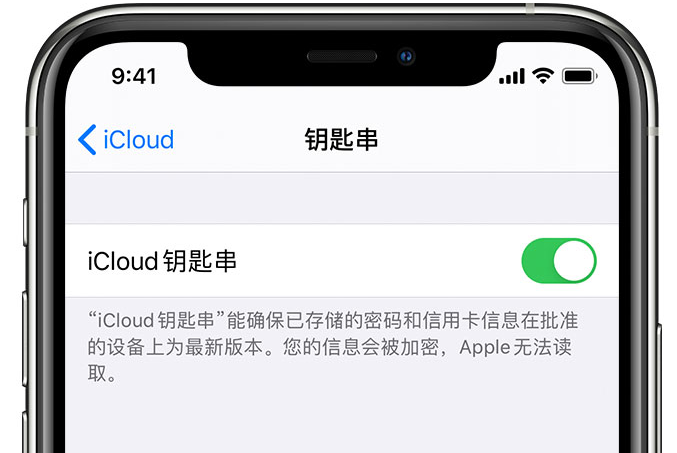 泰州苹果手机维修分享在 iPhone 上开启 iCloud 钥匙串之后会储存哪些信息 