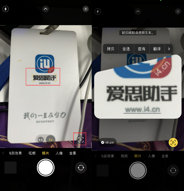 泰州苹果手机维修分享升级iOS 16后如何通过相机翻译文本 