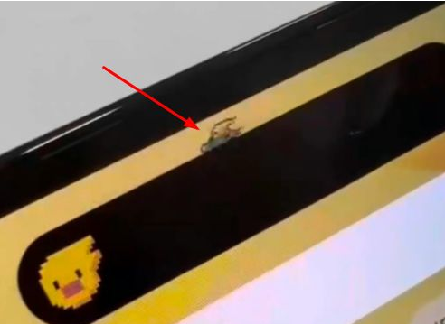 泰州苹果14维修分享iPhone 14 Pro Max灵动岛怎么养宠物 