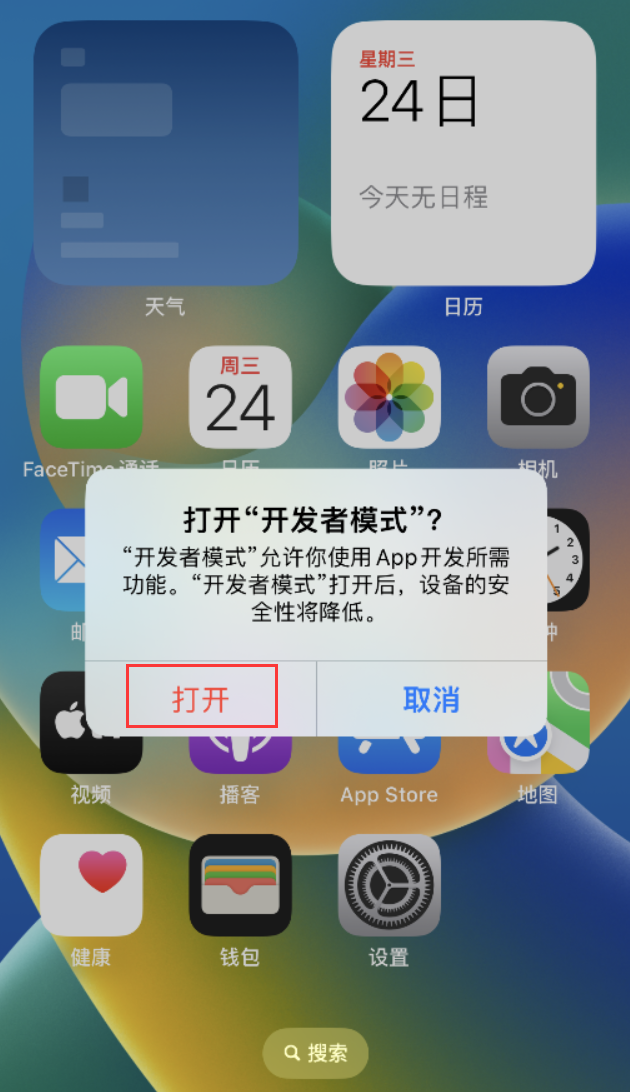 泰州苹果手机维修分享如何打开开发者模式 
