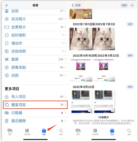 泰州苹果手机维修分享iOS 16 中相册重复项目功能使用方法 