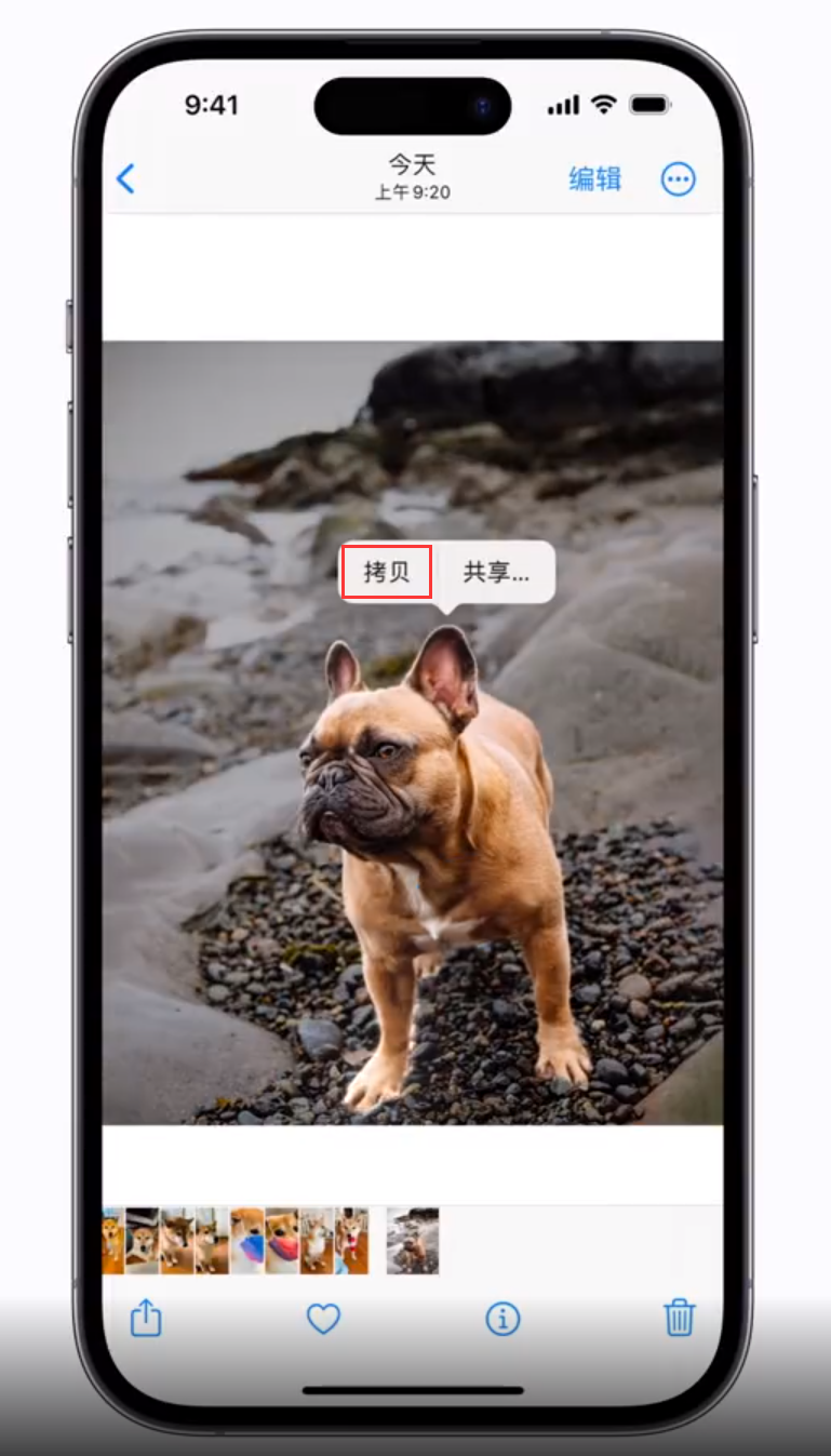 泰州苹果手机维修分享 iOS 16 自带一键抠图功能 