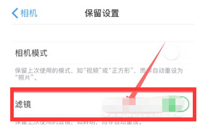 泰州苹果13维修分享iPhone13拍照有绿点是怎么回事 