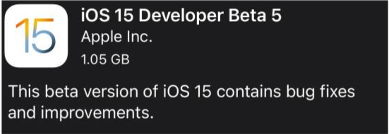 泰州苹果手机维修分享如何升级到iOS15.0 beta5 