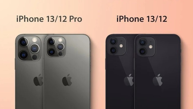 泰州苹果手机维修分享iPhone 13 摄像头长什么样 