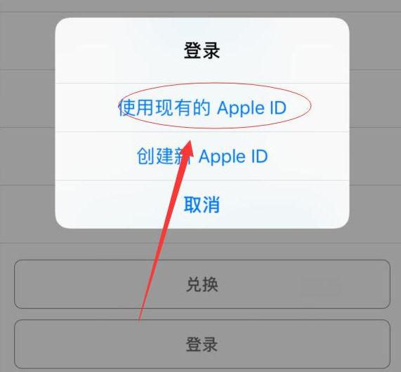 泰州苹果手机维修分享两台iPhone设备可以同时登录一个Apple ID吗 