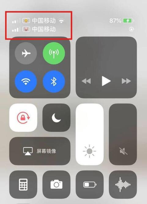 泰州苹果手机维修分享为 iPhone 12 双卡设置标签 
