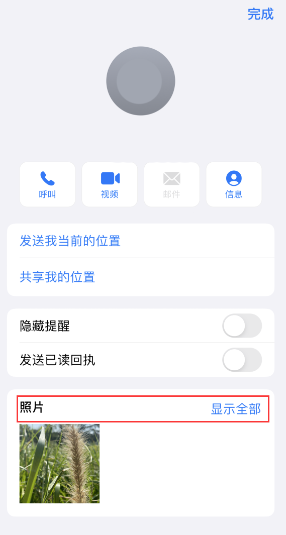 泰州苹果手机维修分享如何快速查找 iMessage 信息中的图片等附件 
