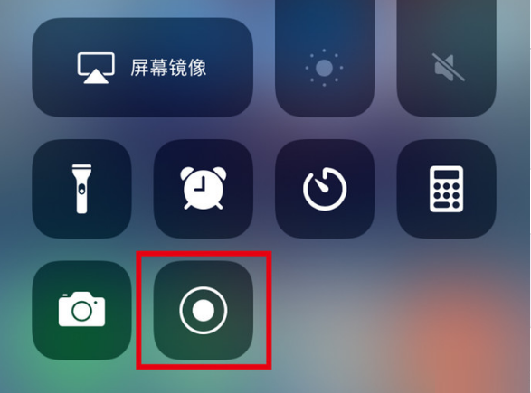 泰州苹果手机维修分享iPhone12录屏方法教程 