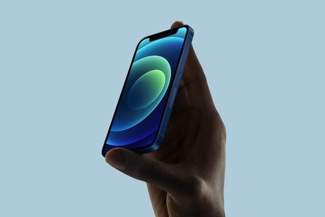 泰州苹果手机维修分享iPhone 12 mini辐射很大吗 